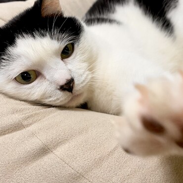 の写真
