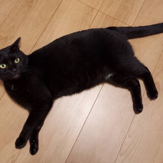 イケメンこたろー君