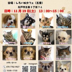 ペットと暮らそう譲渡会