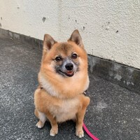 凛月(りつ)