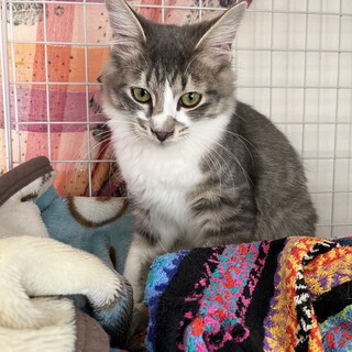 ふわもこ甘えん坊なモンちゃん❤️