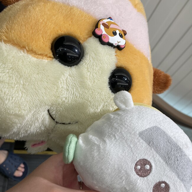 あちゃハムスターのカバー写真