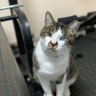 とっても甘えん坊な男の子です！