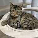 甘えん坊のコルク君です♪