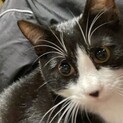 かわいいハチ子さん。