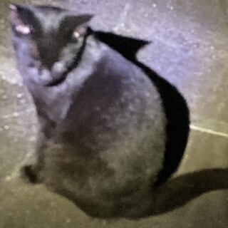 食欲旺盛、元気な男の子