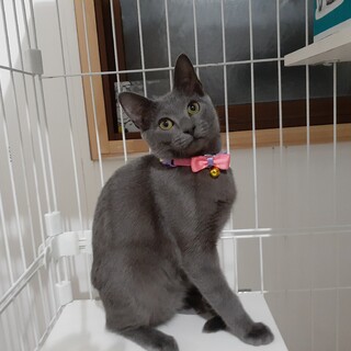 ステキなご縁に結ばれました♡