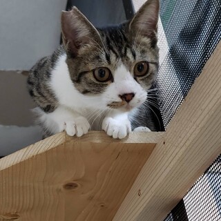生後6ヶ月　ミコノス