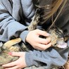 ☆子猫の里親さん探しています☆ サムネイル4
