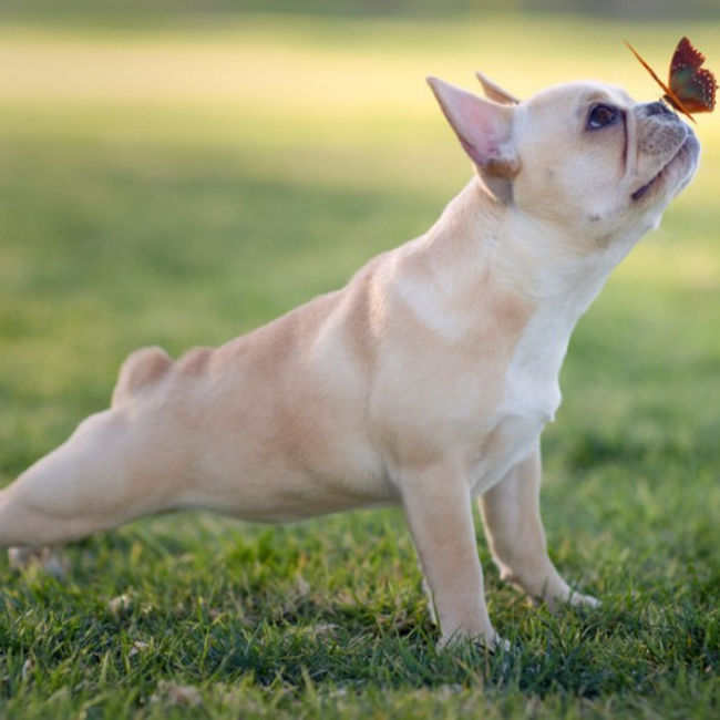 森と青空のカバー写真