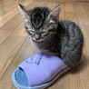 ありがとうございました サムネイル3