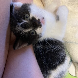 ありがとうございました