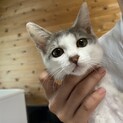 べったり甘えん坊　※注意事項あり