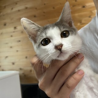 べったり甘えん坊　※注意事項あり