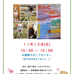 いぬねこ譲渡会