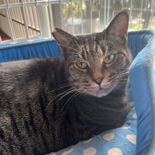 施設入居による遺棄からの保護①