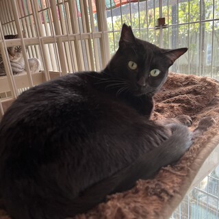 施設入居による遺棄からの保護④