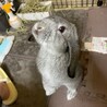 あきもも80 さん