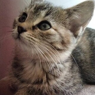 クウちゃん様決定済みです④ クウちゃん様決定済みです④