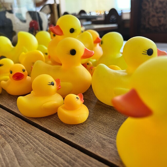 はるGXのカバー写真