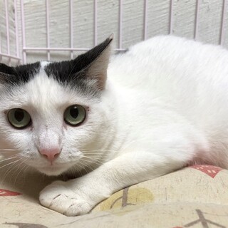 少しずつ慣れてきたプリンセス♪ミミ子ちゃん