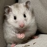 まぁぁぁちゃん