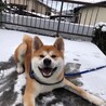 たき_