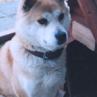 楓太…マギー…困った事有ったら俺に言えよ！　