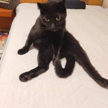 ん？