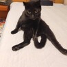 ん？