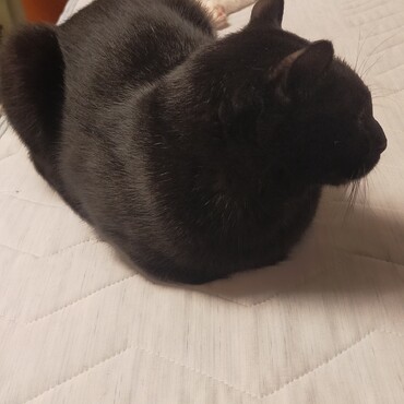 の写真
