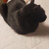 の写真