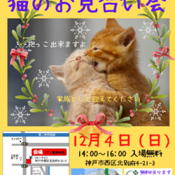 ゆったりほっこりする猫のお見合い会 サムネイル1