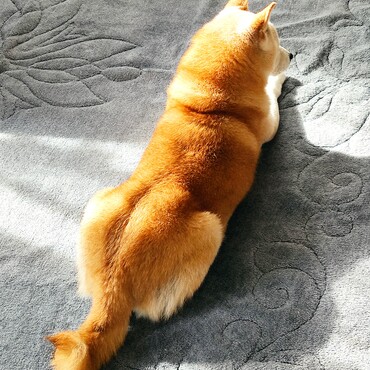 マギーさん。楓太くん。　もう銀太にいちゃんの方に行ったのかな………。