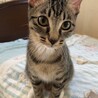 白ソックスのネイルちゃん♡ サムネイル5
