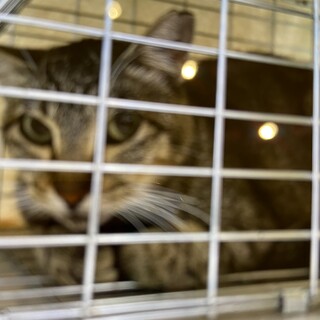 白血病でも幸せになり