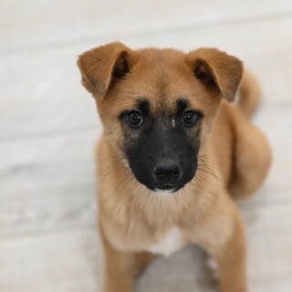 デュークくん！