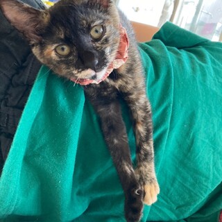 遊ぶの大好きボンちゃん♡