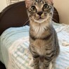 白ソックスのネイルちゃん♡ サムネイル6