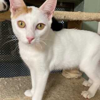 「面談予定」愛嬌満点「元気」くん❤