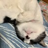 優水*ゆうみ*さん