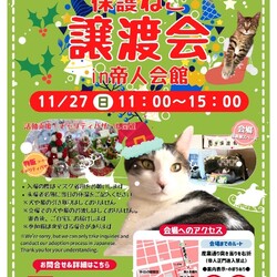 第２２回保護猫譲渡会in帝人会館