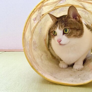 の写真