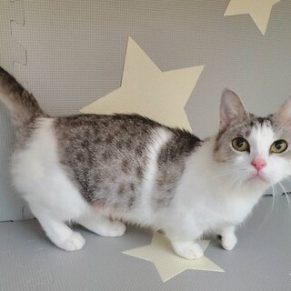 人懐こい女の子