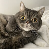 Qちゃん