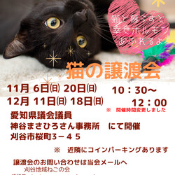 刈谷地域ねこの会　譲渡会