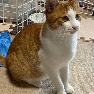 甘えんぼ　1才男の子