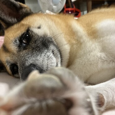 の写真
