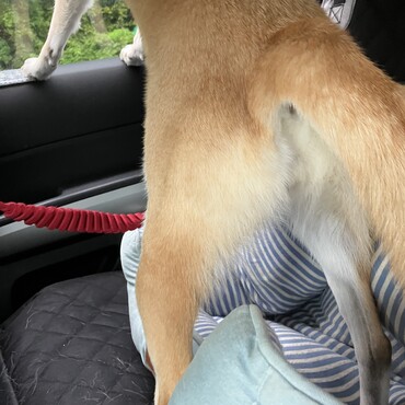 の写真
