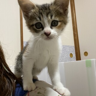 みぃみちゃん、活発な甘えん坊な女の子